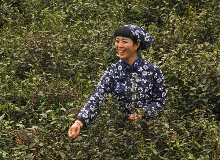 百科